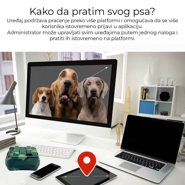 Lokator za lovačke pse - Tracker za pse IK122T 4G GPS